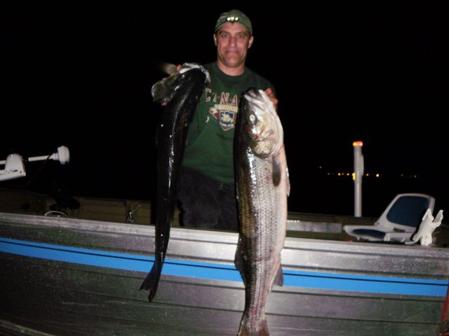 Nice Striped Bass